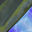 Chroma 2