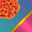 Chroma 1