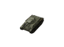 LTP
