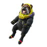 Rocket-Ready Roscoe