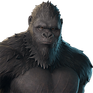 Kong