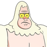 Skips