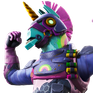 Bash