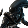 Xenomorph