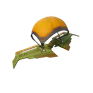 Glider