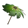 Palm Leaf