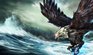 Bird of Prey Anivia