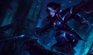 Nightraven Fiora