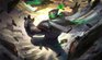 Prestige Conqueror Jax