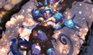 Winter Wonder Neeko