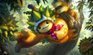 Durian Defender Rammus