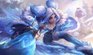 Winter Wonder Zeri