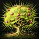 Tree of Life Icon