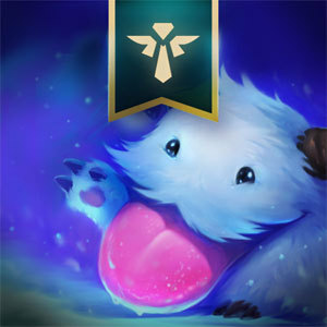 Support Welcome Poro